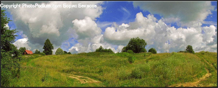 Cloud, Cumulus, Sky, Grassland, Mound, Azure Sky, Outdoors