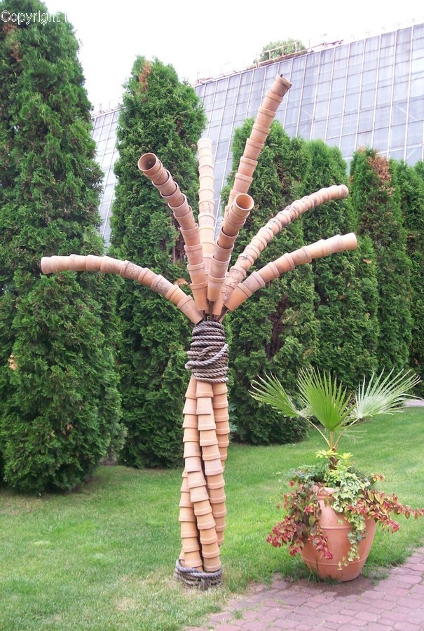 Plant, Grass, Outdoors, Garden, Tree