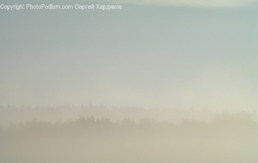 Nature, Weather, Outdoors, Fog, Mist