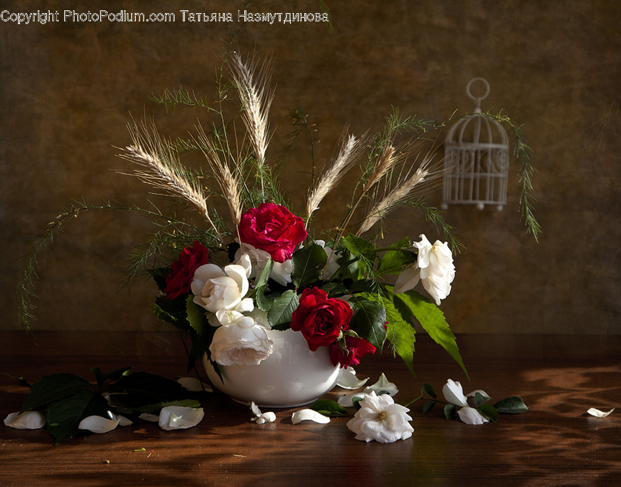 Plant, Flower, Blossom, Flower Arrangement, Flower Bouquet