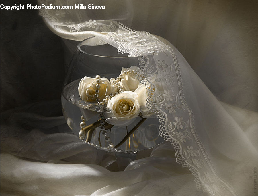 Accessories, Flower, Flower Arrangement, Flower Bouquet, Lace