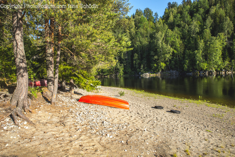 Rowboat, Vehicle, Boat, Transportation, Canoe