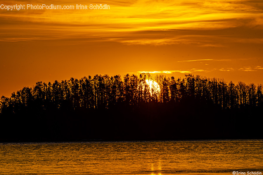 Nature, Outdoors, Sunlight, Sky, Dusk