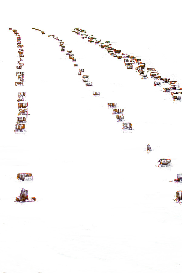 Person, Human, Crowd, Text, Plot