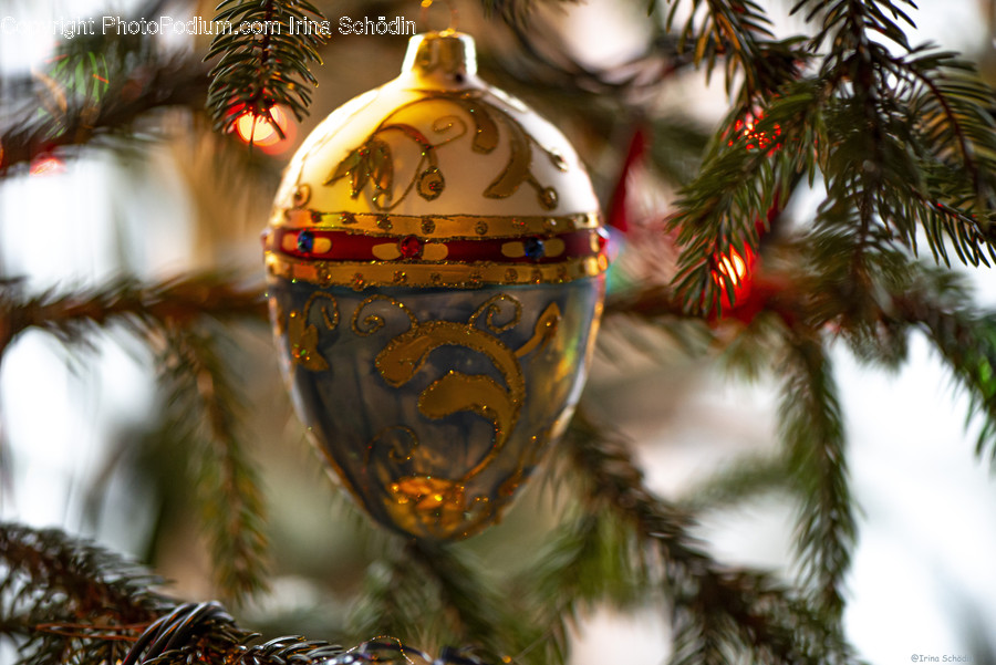 Plant, Tree, Ornament, Fir, Abies