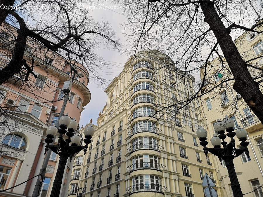Urban, Town, Building, City, Office Building