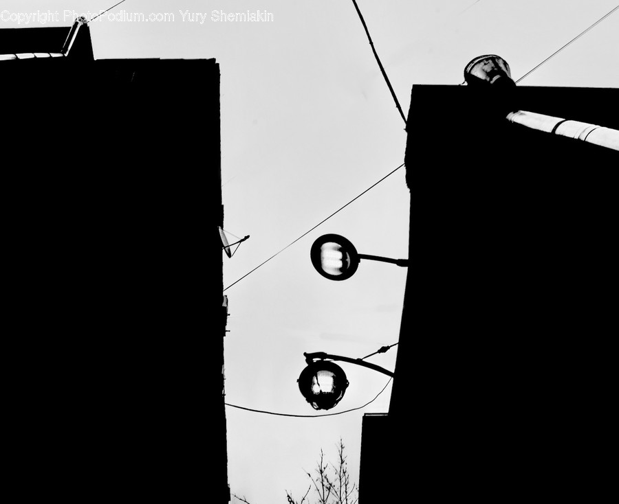 Silhouette, Animal, Bird, Utility Pole, Art