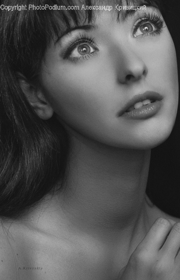 Human, Face, Person, Portrait, Photo