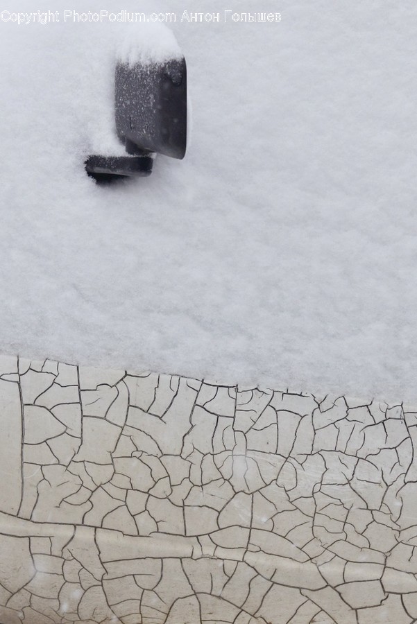 Nature, Outdoors, Snow, Ice, Animal