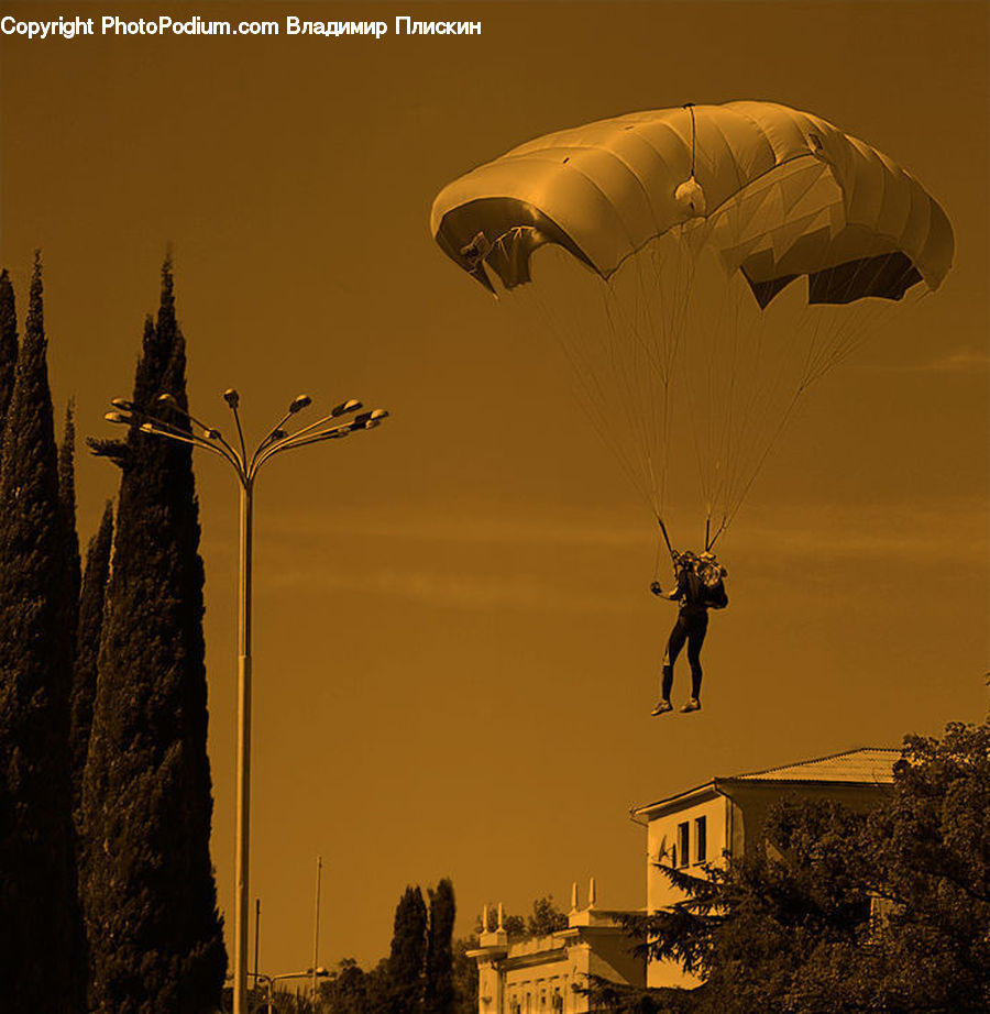 Adventure, Flight, Gliding, Aircraft, Airship, Blimp, Conifer