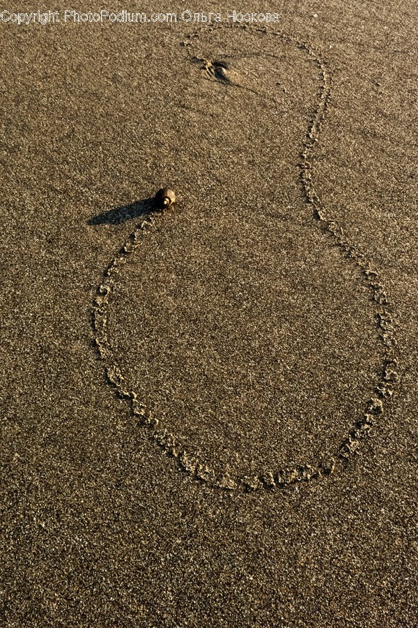 Ground, Outdoors, Nature, Rug, Sand