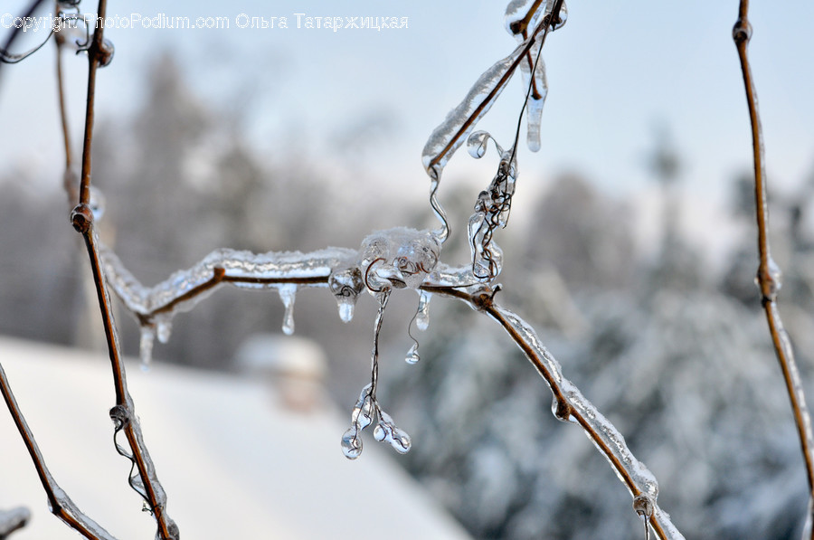 Nature, Outdoors, Ice, Snow, Winter