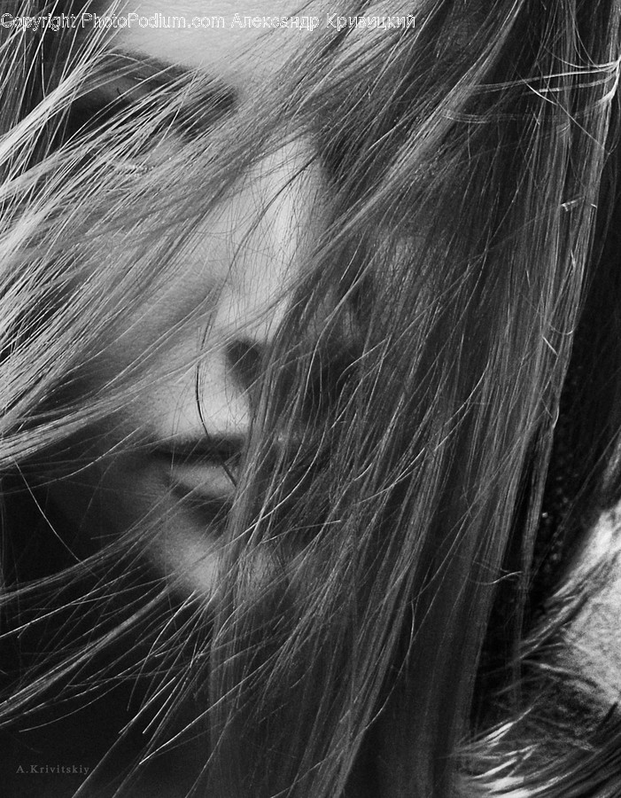 Face, Person, Human, Hair, Animal