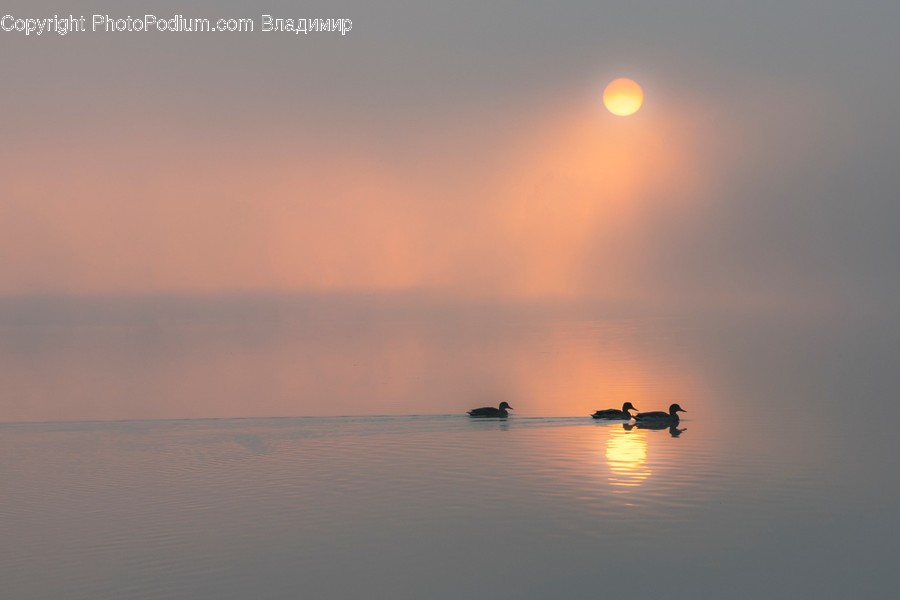 Nature, Outdoors, Water, Transportation, Vehicle