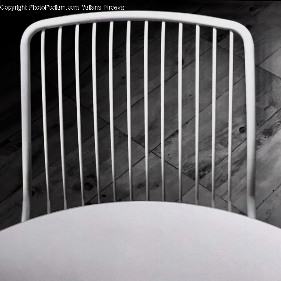 Fence, Mammal, Tiger, Wildlife, Animal