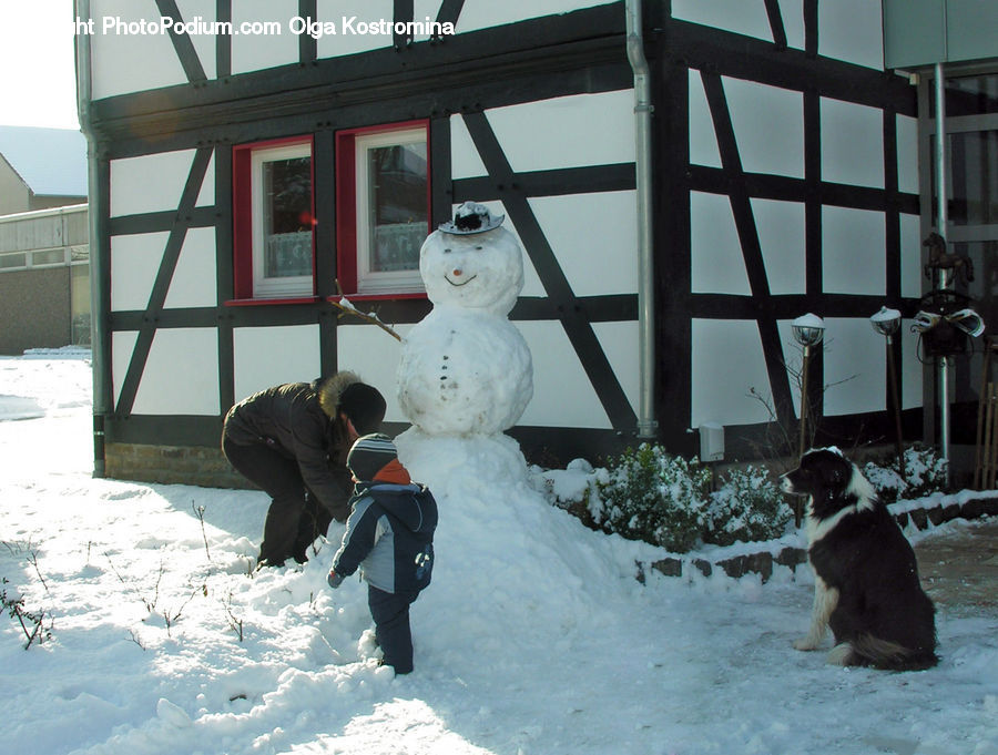 Ice, Snow, Snowman, Winter, People, Person, Human