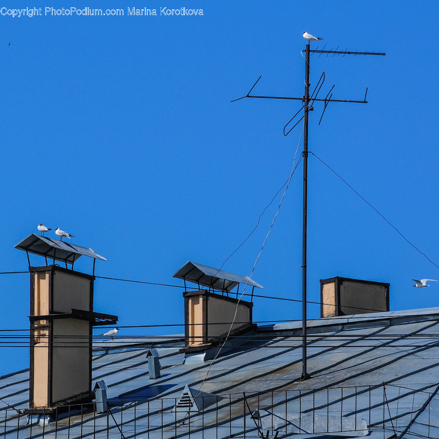 Electrical Device, Antenna, Utility Pole, Bird, Animal