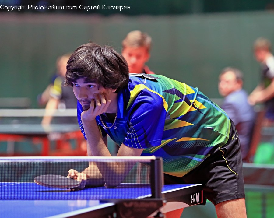Human, Person, Ping Pong, Sports, Sport