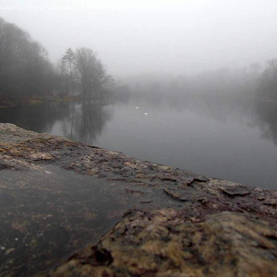Weather, Nature, Outdoors, Fog, Mist