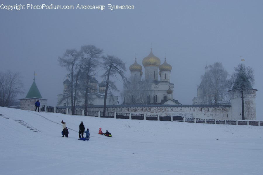 Human, Person, Nature, Outdoors, Sled