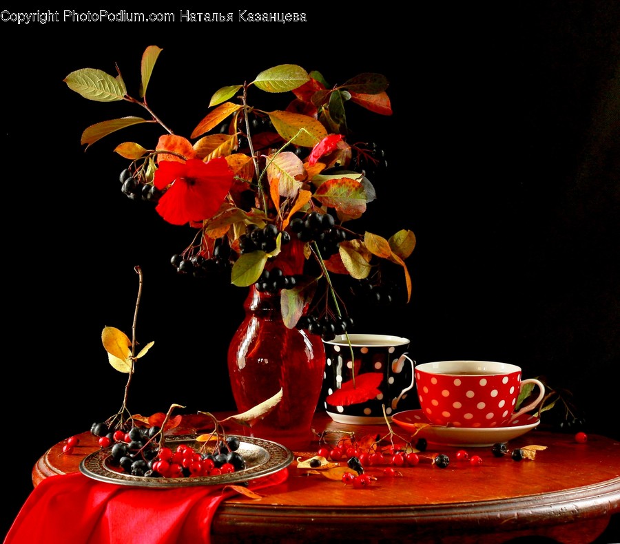 Pottery, Saucer, Plant, Cup, Coffee Cup