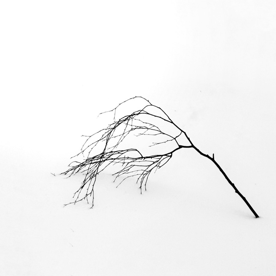 Grass, Plant, Lawn, Art, Drawing