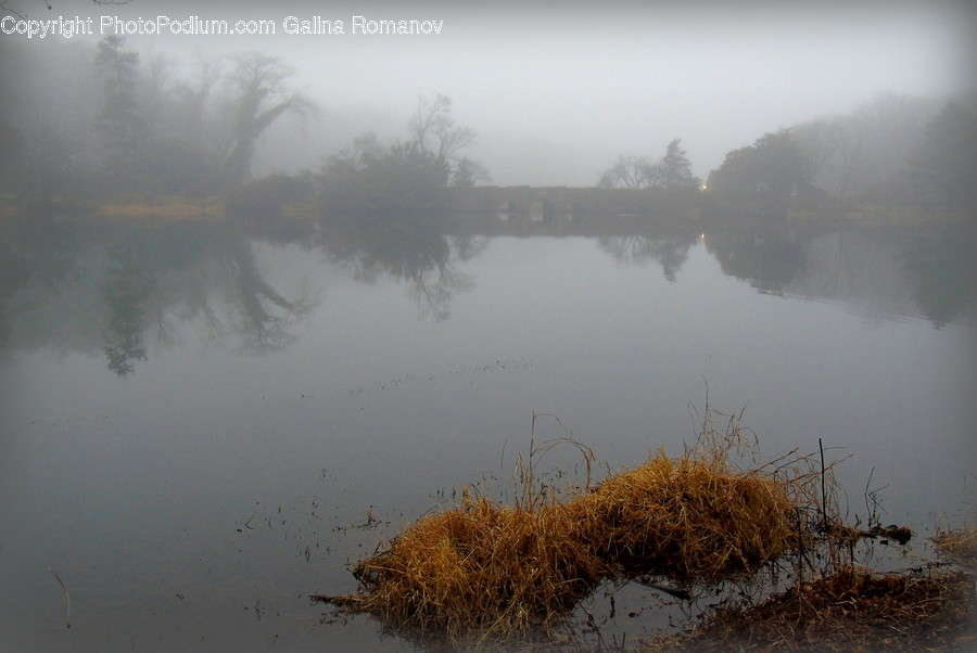 Nature, Weather, Outdoors, Mist, Fog