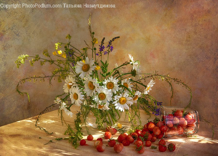 Plant, Ornament, Ikebana, Flower Arrangement, Vase