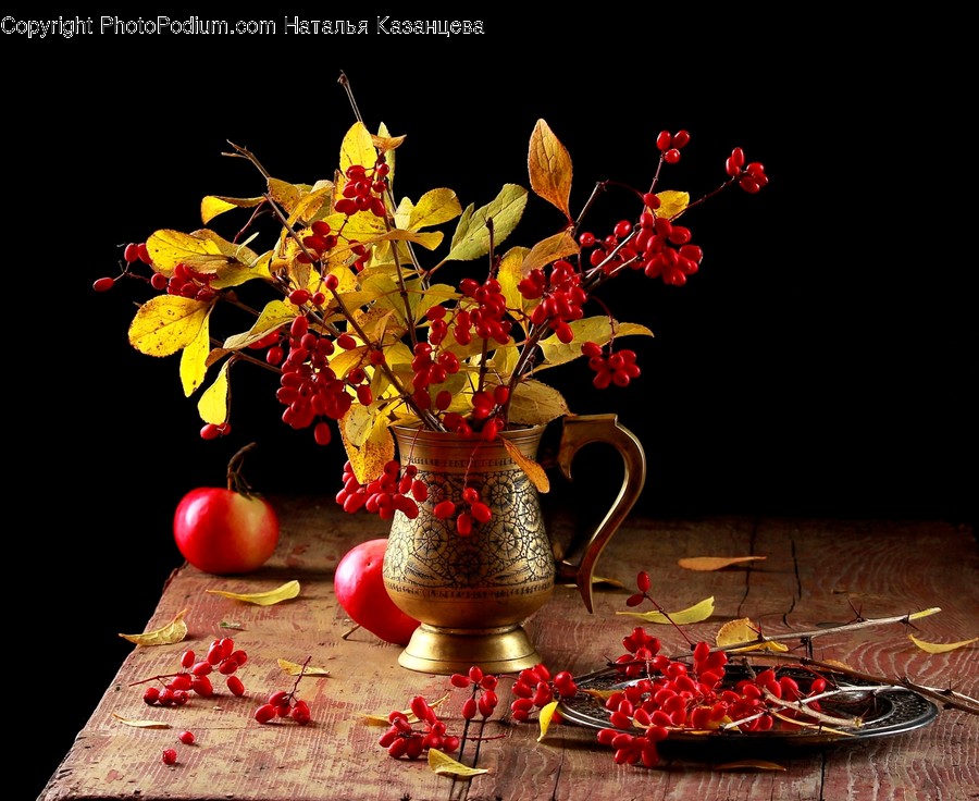 Plant, Flower, Blossom, Flower Bouquet, Flower Arrangement