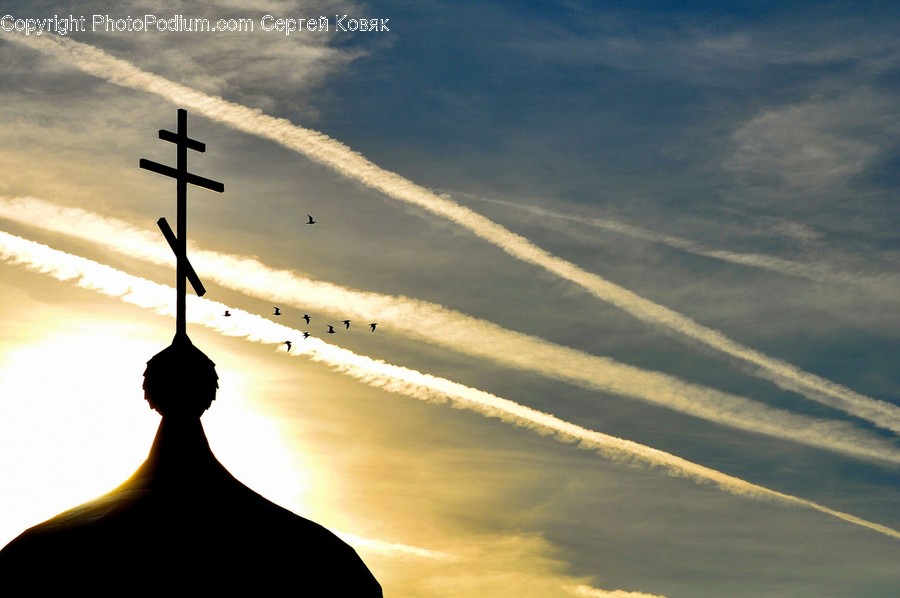 Animal, Bird, Cross, Symbol, Outdoors