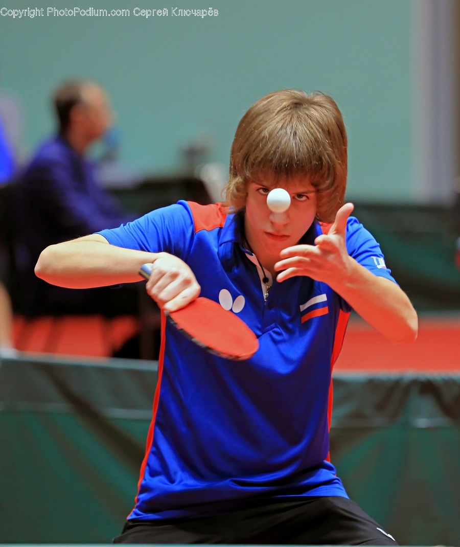 Human, Person, Sport, Sports, Ping Pong
