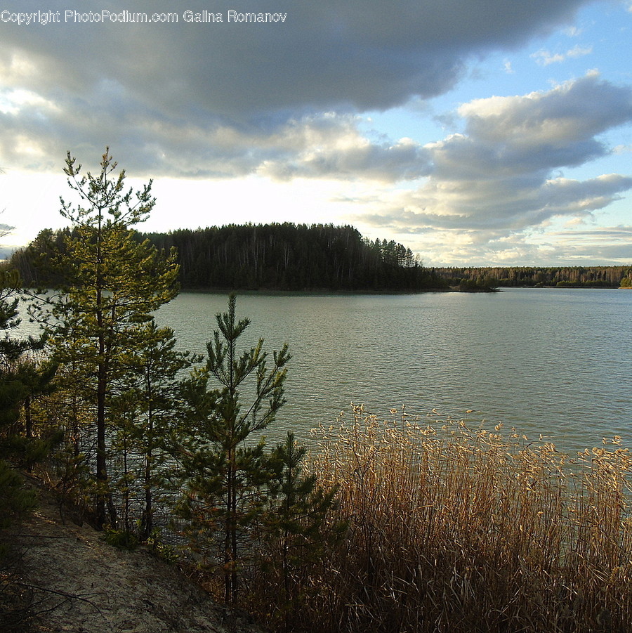 Water, Nature, Outdoors, Reservoir, Fir