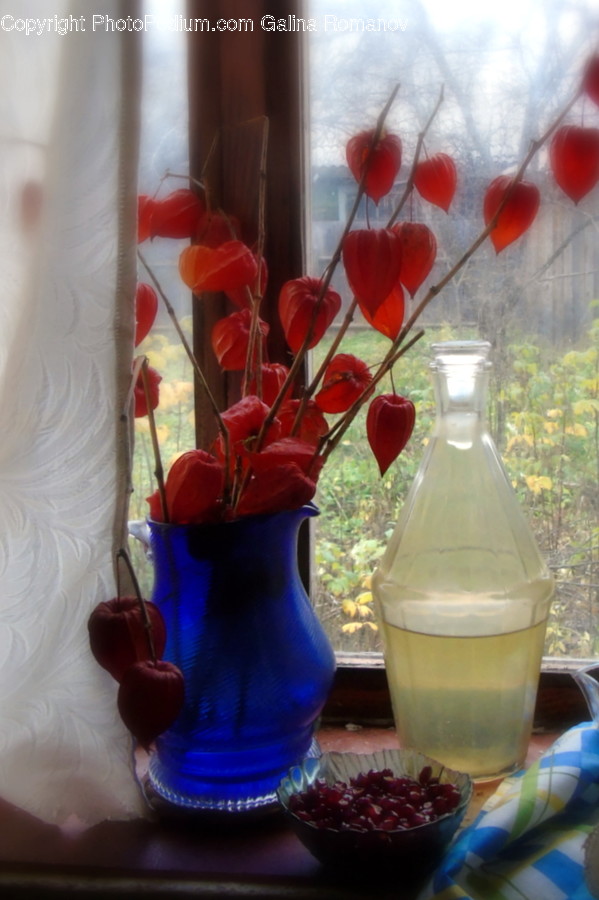 Vase, Pottery, Jar, Plant, Potted Plant