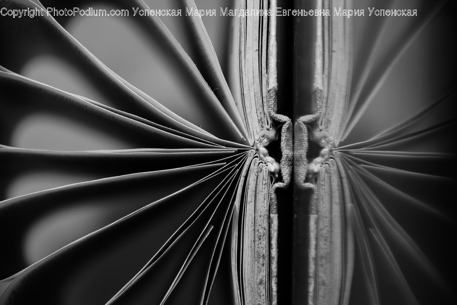 Machine, Spoke, Tire, Canopy, Wheel