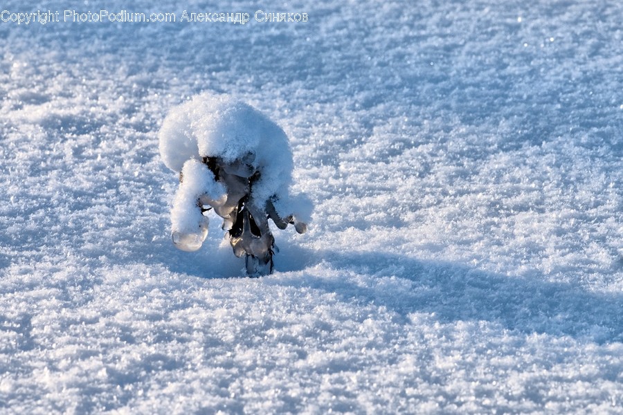 Nature, Outdoors, Snow, Ice, Winter
