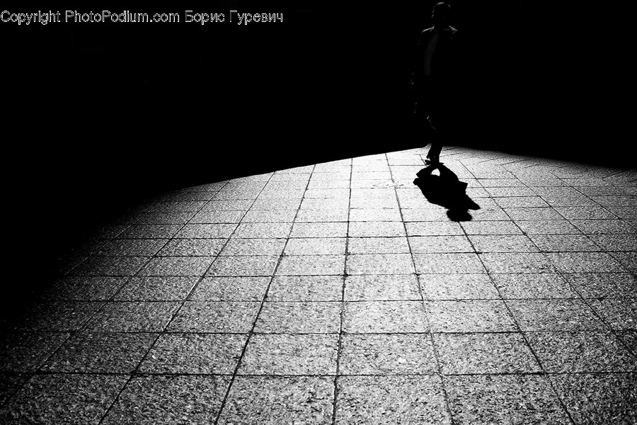 Path, Walkway, Brick, Animal, Bird