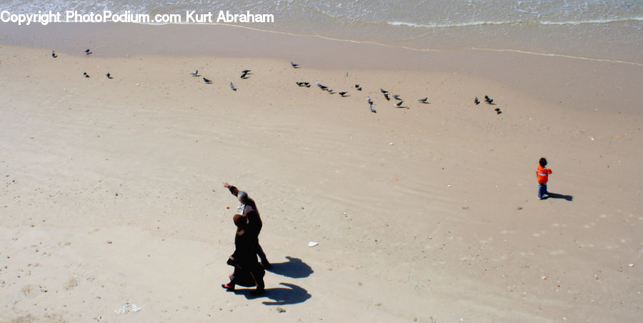 Beach, Coast, Outdoors, Sea, Water, Leisure Activities, Dune