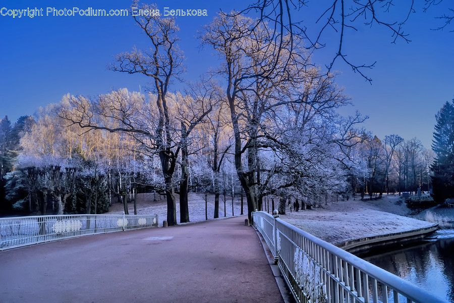 Handrail, Banister, Nature, Railing, Ice