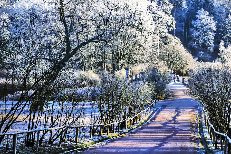 Road, Outdoors, Ice, Nature, Person