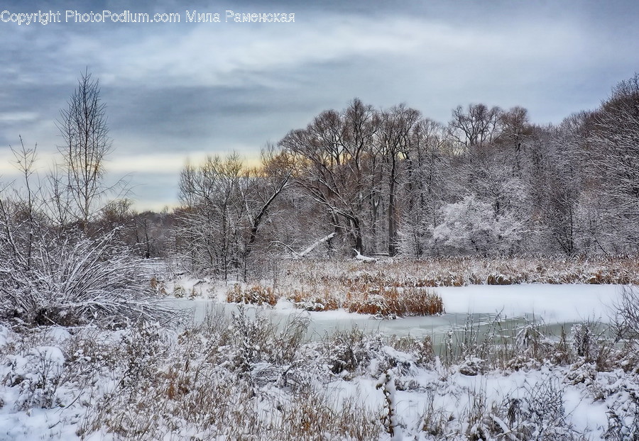 Nature, Outdoors, Ice, Snow, Weather