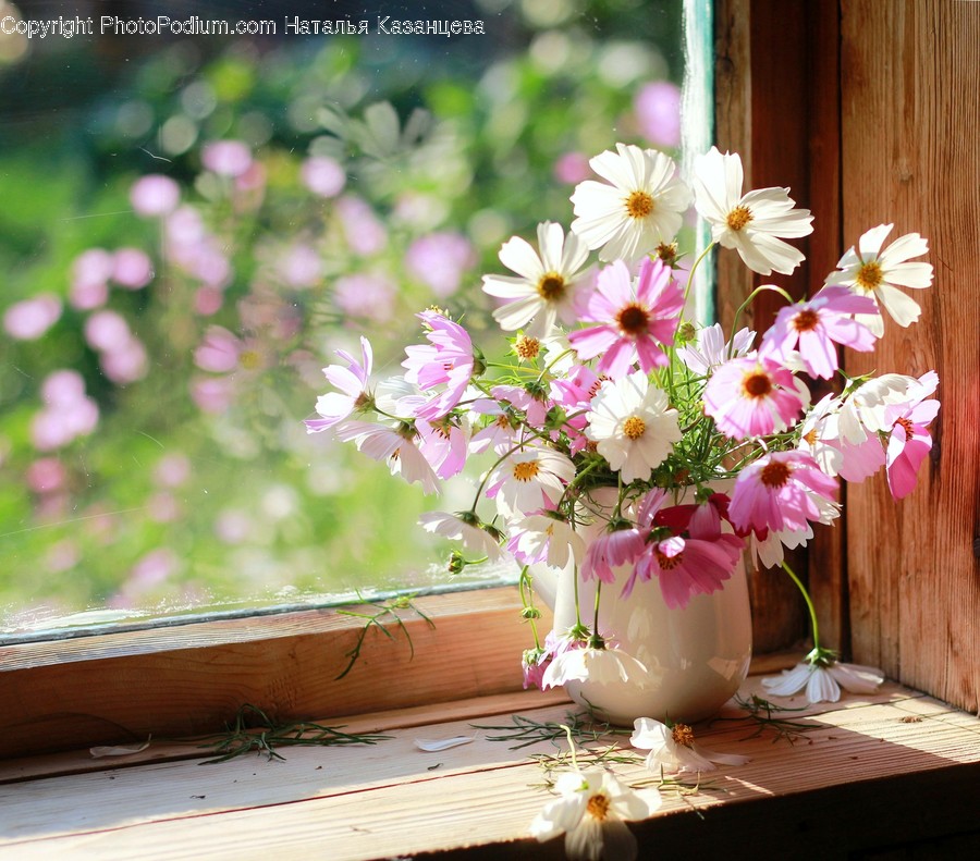 Plant, Flower, Blossom, Flower Arrangement, Flower Bouquet