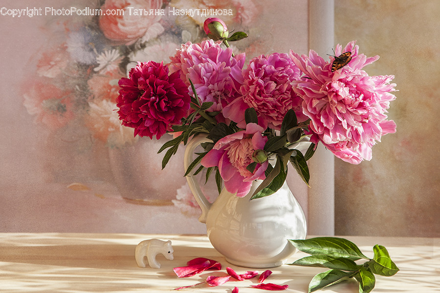 Plant, Blossom, Flower, Flower Bouquet, Flower Arrangement