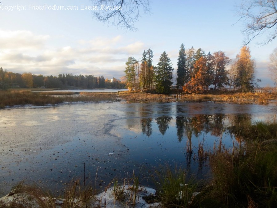 Water, Nature, Outdoors, Land, Tree