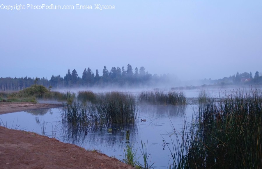 Nature, Outdoors, Land, Water, Weather