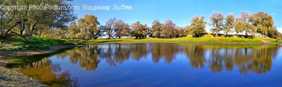 Water, Nature, Outdoors, Lake, Plant