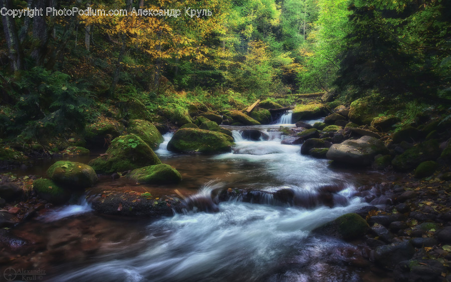 Water, Nature, Outdoors, Stream, Creek