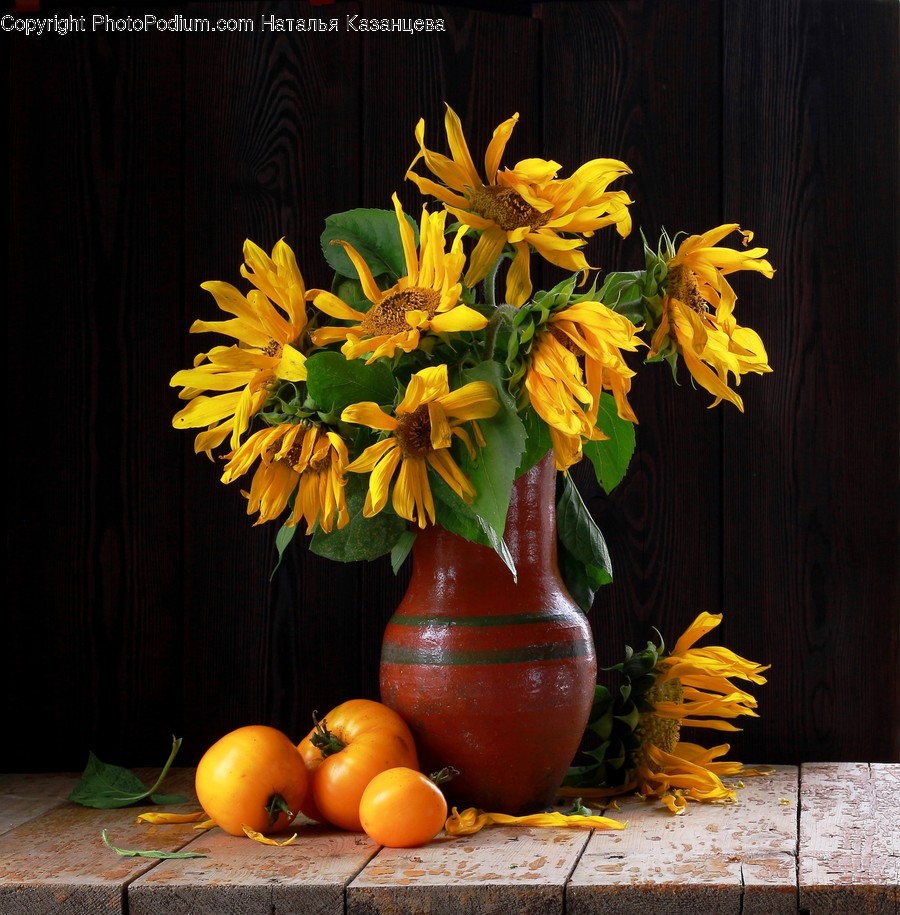 Plant, Flower, Blossom, Flower Arrangement, Flower Bouquet
