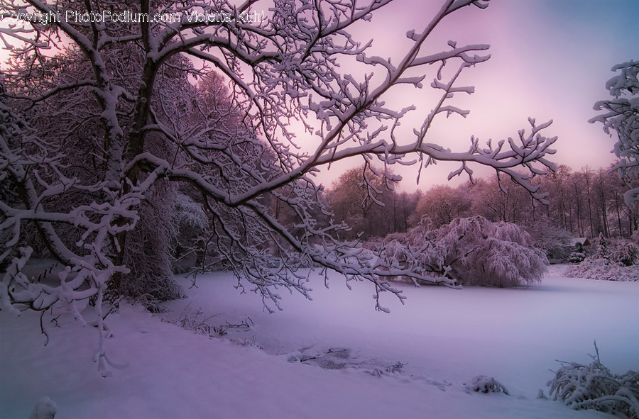 Nature, Outdoors, Snow, Ice, Winter