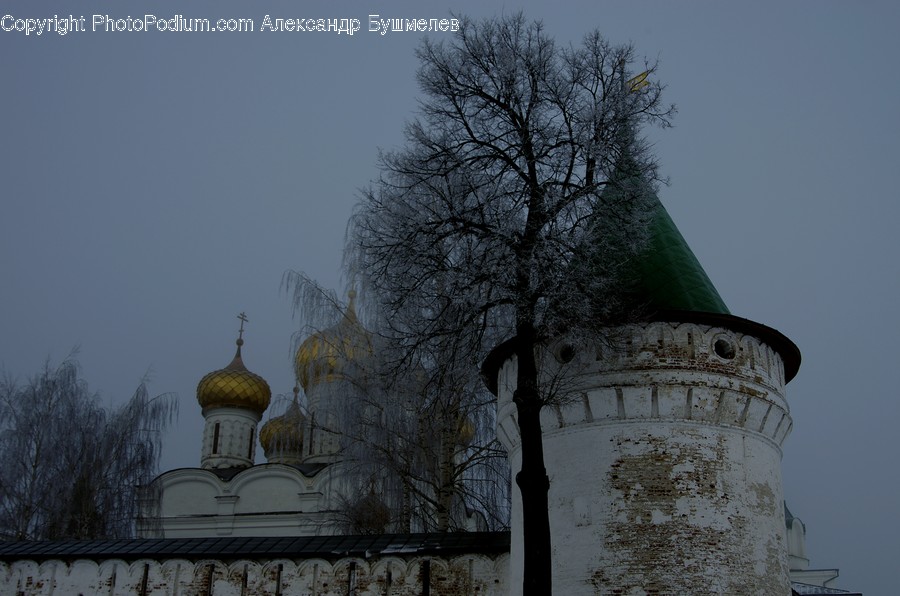 Building, Dome, Architecture, Tree, Plant