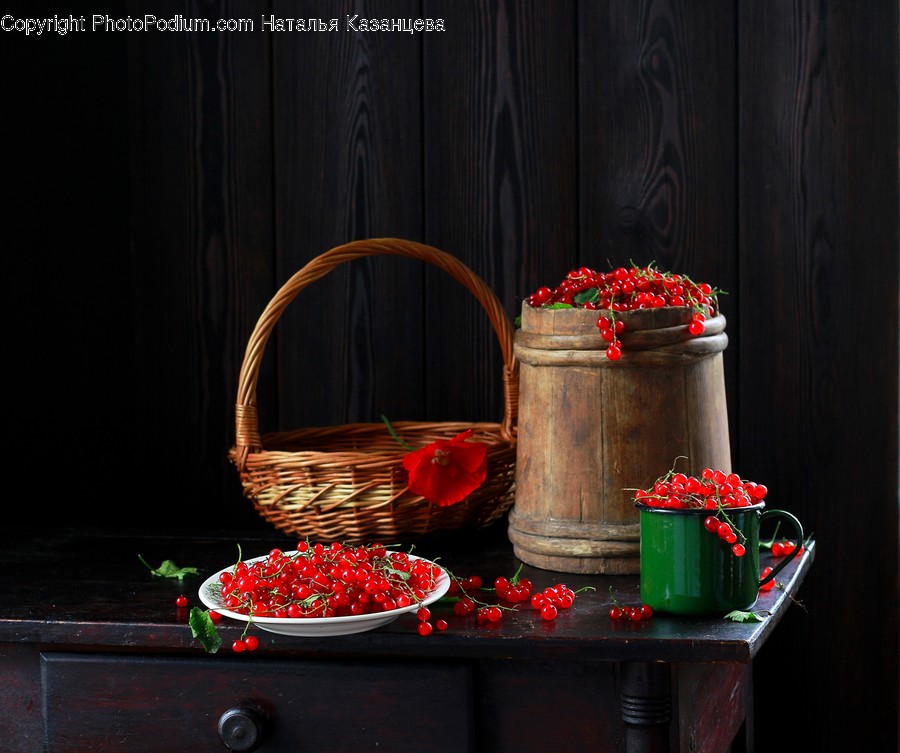 Basket, Plant, Pot, Blossom, Flower